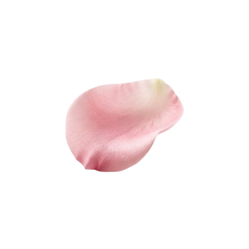 花びら